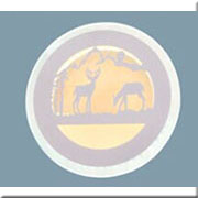 Đèn Tường Led SN3 V 6459 Ø220